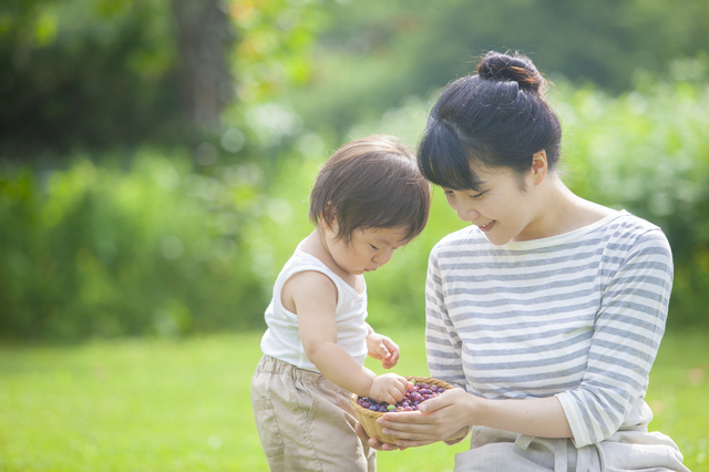 最大100万円！子育て・若者世帯に嬉しい「こどもみらい住宅支援事業」創設 画像