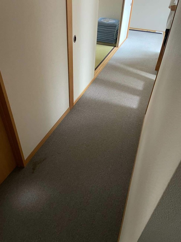 Before画像