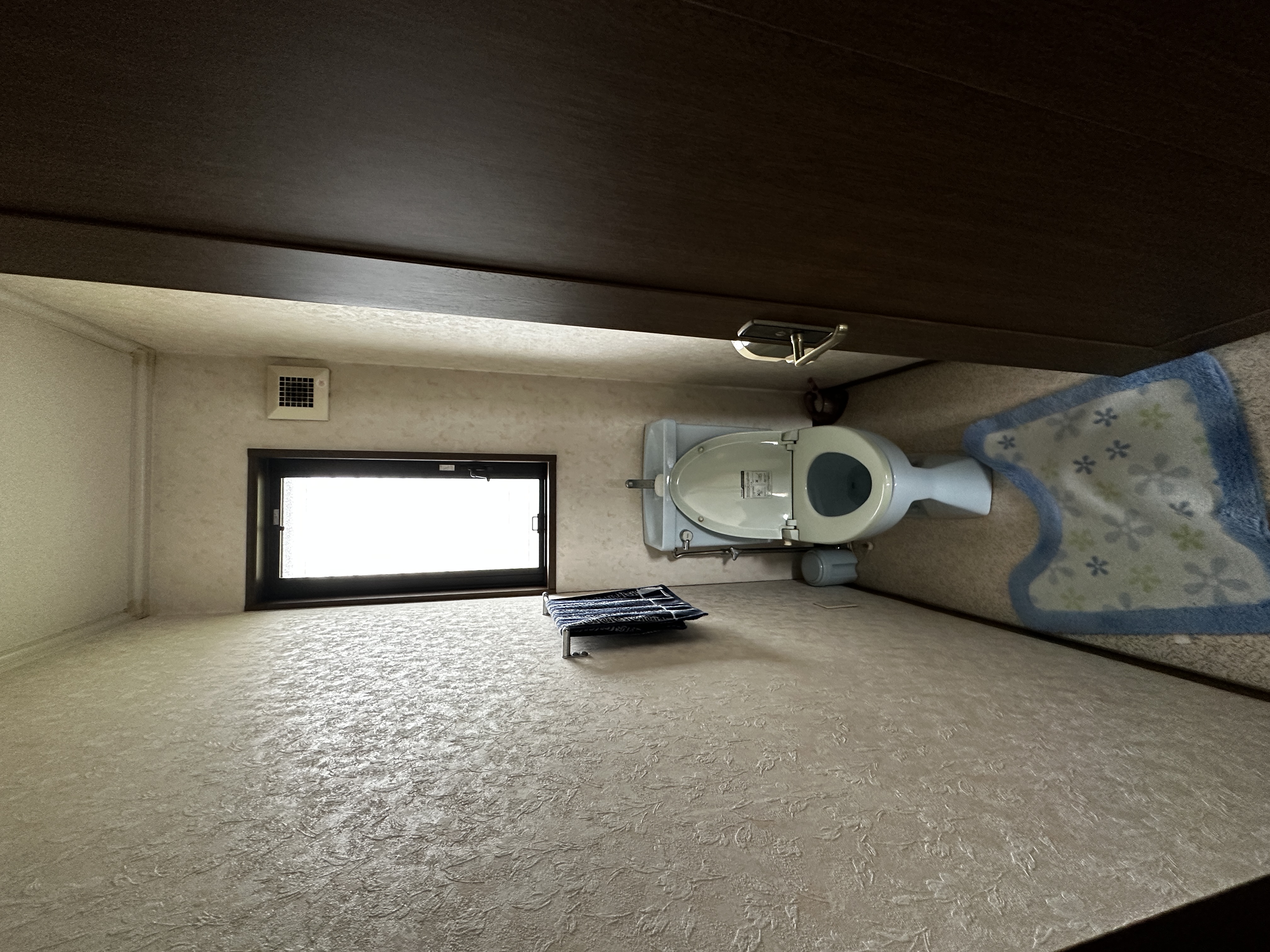 Before画像