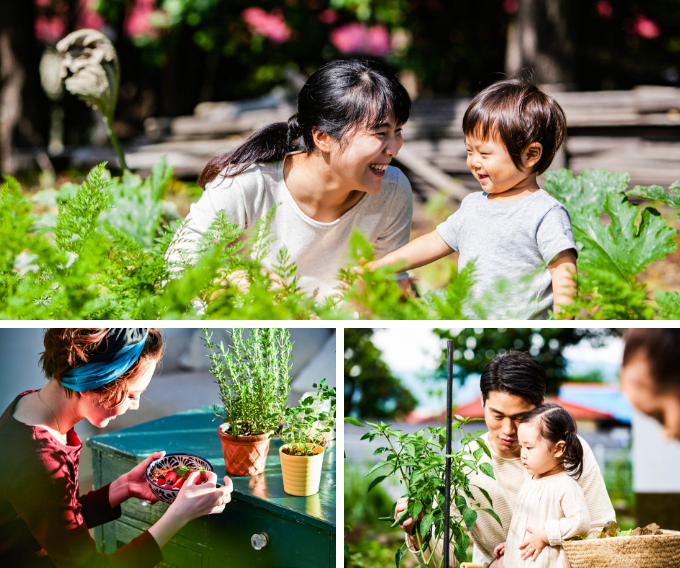家族と家庭菜園