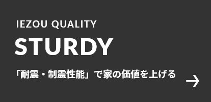 STURDY