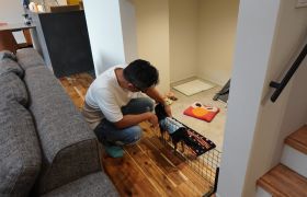 6月開催｜家族・夫婦・単身にも参考になる平屋のオーナー様見学会 アイキャッチ画像
